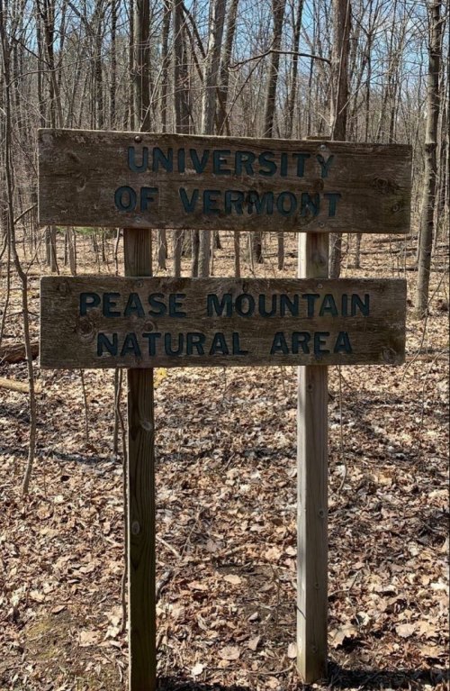 Wooden sign for Pease Mountain Natural Area, University of Vermont, surrounded by a forest with fallen leaves.