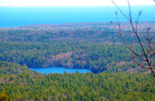 A panoramic view of a lush green forest with a serene blue lake and the ocean in the distance.