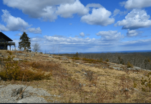 A scenic view of a rocky landscape with sparse vegetation, under a blue sky filled with fluffy clouds.