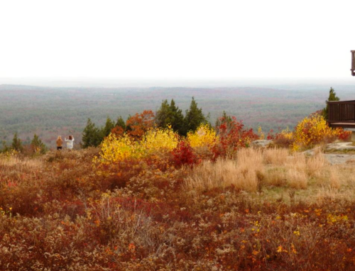Two people stand on a hillside surrounded by autumn foliage, overlooking a misty landscape of trees and hills.