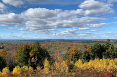 A panoramic view of a colorful autumn landscape with trees in shades of orange and yellow under a blue sky with clouds.