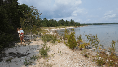 A child carries another child on their back along a sandy beach with trees and calm water in the background.
