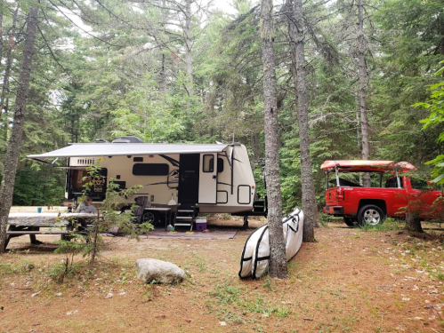 A camper parked in a wooded area, with a red truck and canoes nearby, surrounded by tall trees and pine needles.