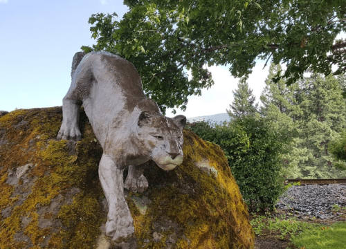 A realistic sculpture of a mountain lion crouching on a moss-covered rock, surrounded by greenery and trees.