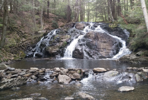A serene waterfall cascading over rocks into a calm pool, surrounded by lush green trees and forest.