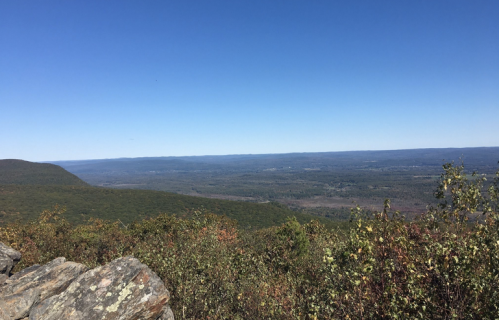 A panoramic view of rolling hills and valleys under a clear blue sky, with autumn foliage in the foreground.