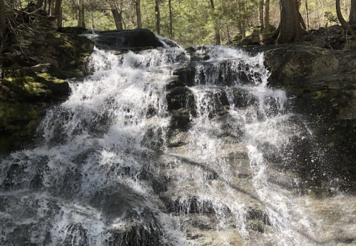 A cascading waterfall flows over rocky terrain, surrounded by lush green trees in a serene forest setting.