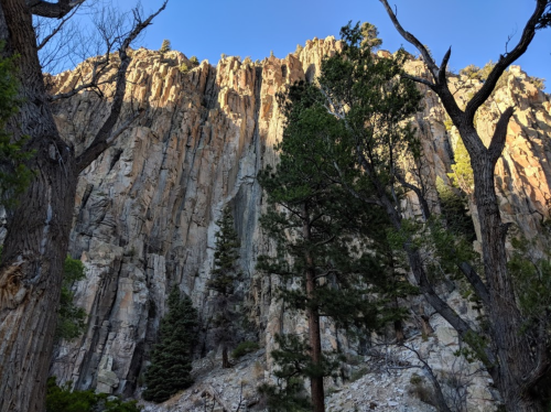 A towering rock formation surrounded by tall trees under a clear blue sky.