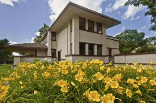 A modern house with a flat roof, surrounded by vibrant yellow flowers and green grass under a blue sky.