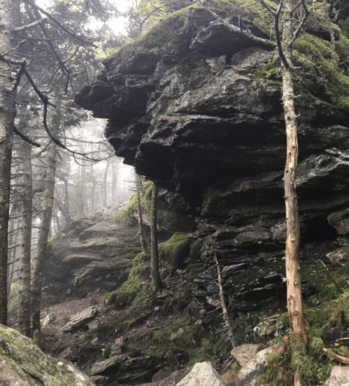 A rocky outcrop surrounded by trees and mist, creating a serene, natural landscape.