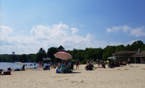 A sunny beach scene with people relaxing under umbrellas, surrounded by trees and a calm lake.