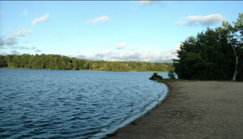 A serene lakeside view with calm water, sandy shore, and lush green trees under a clear blue sky.