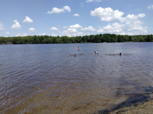 A serene lake scene with people swimming, surrounded by trees and a blue sky with fluffy clouds.