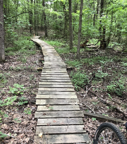 A winding wooden boardwalk through a lush green forest, surrounded by trees and foliage.