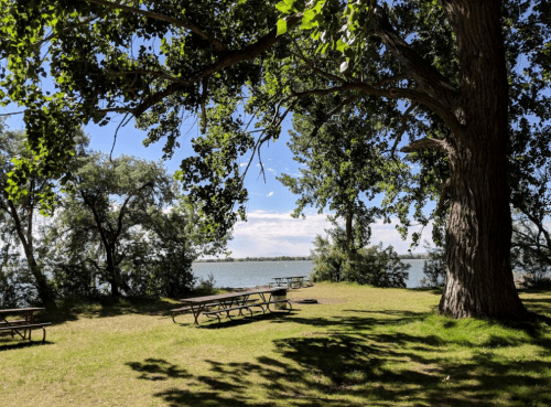 A serene lakeside scene with picnic tables under leafy trees and a clear blue sky.
