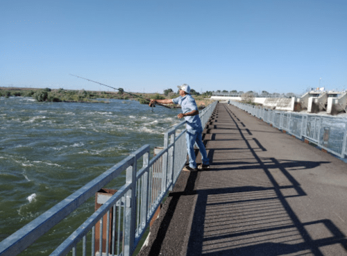 A person fishing from a walkway beside a river, with a dam visible in the background under a clear blue sky.