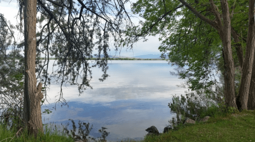 A serene lake view framed by trees, with calm water reflecting the sky and surrounding greenery.