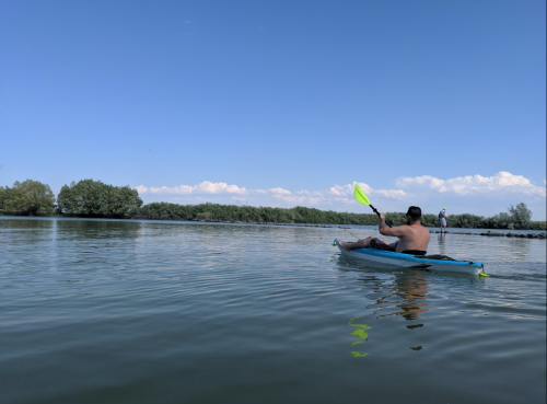 A person kayaking on calm water with trees and distant mountains under a clear blue sky.