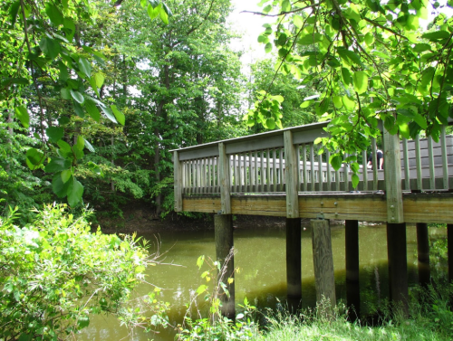 A wooden dock extends over a calm, green-tinted pond, surrounded by lush trees and foliage.