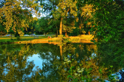 A serene pond surrounded by lush trees, reflecting the vibrant greenery and warm sunlight in a peaceful park setting.