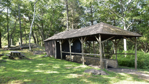 A rustic wooden shelter surrounded by trees, with a stone wall and a picnic table nearby on a grassy area.
