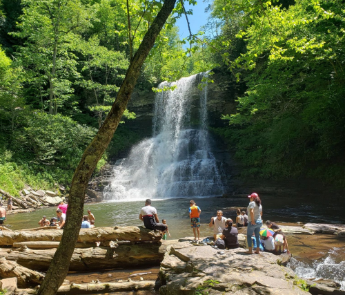 A scenic waterfall surrounded by lush greenery, with people enjoying the water and relaxing on rocks nearby.