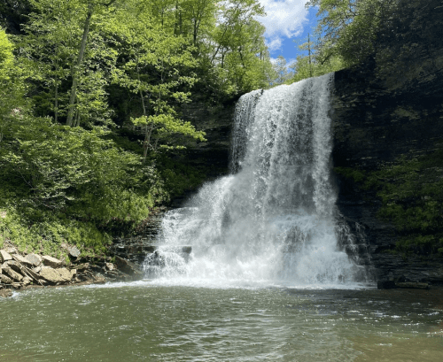 A serene waterfall cascades over rocky cliffs, surrounded by lush green trees and a calm pool of water below.