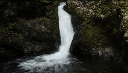A serene waterfall cascading over moss-covered rocks into a dark pool below, surrounded by lush greenery.