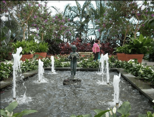 A serene garden with a central fountain, surrounded by lush plants and flowers, and a person admiring the scenery.