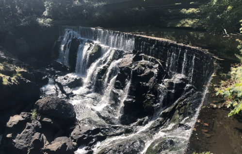 A serene waterfall cascades over rocky ledges, surrounded by lush greenery and a calm river.