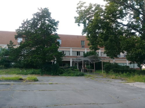 Abandoned building surrounded by overgrown vegetation and a cracked parking lot.