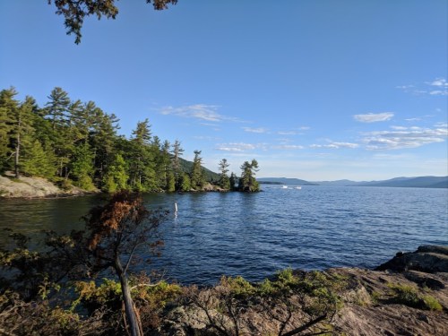 A serene lakeside view with trees, rocky shore, and calm water under a clear blue sky.