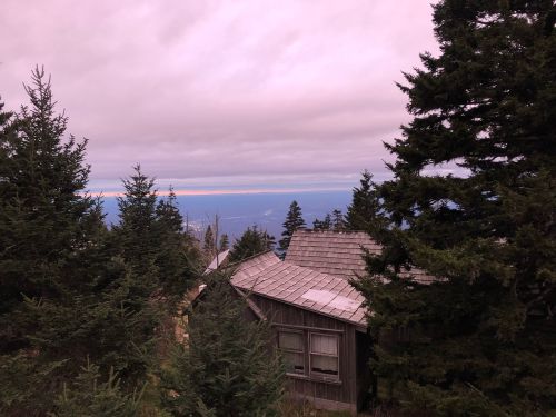 A weathered cabin surrounded by tall evergreen trees, with a cloudy sky and distant mountains in the background.