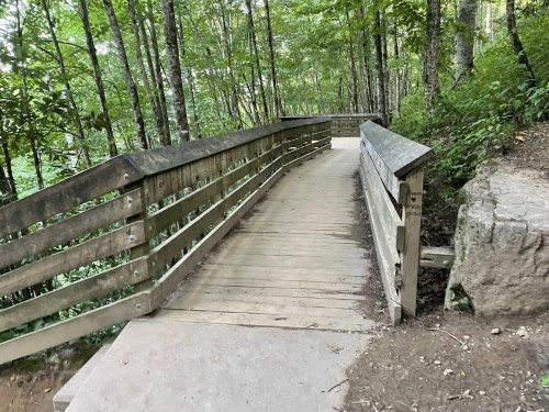 A winding wooden bridge surrounded by trees in a forested area.