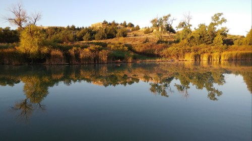A serene lake reflecting trees and shrubs on a calm day, with gentle ripples on the water's surface.