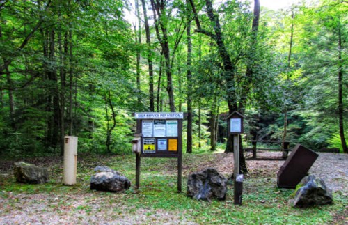 A forested area with a trailhead sign, information boards, and a picnic table surrounded by trees and rocks.