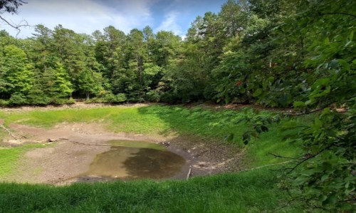 A dry, cracked lakebed surrounded by lush green trees and grass under a clear blue sky.