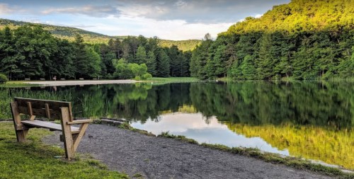A serene lake surrounded by lush trees, with a wooden bench in the foreground reflecting the peaceful landscape.