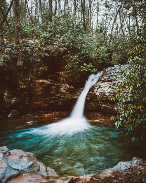 A serene waterfall cascades into a clear pool, surrounded by lush greenery and rocky terrain.