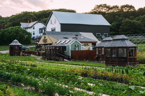 A scenic view of a garden with greenhouses and a large house in the background, surrounded by lush greenery.