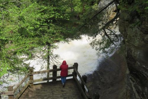 A person in a red jacket stands on a wooden platform overlooking a rushing river surrounded by lush greenery.