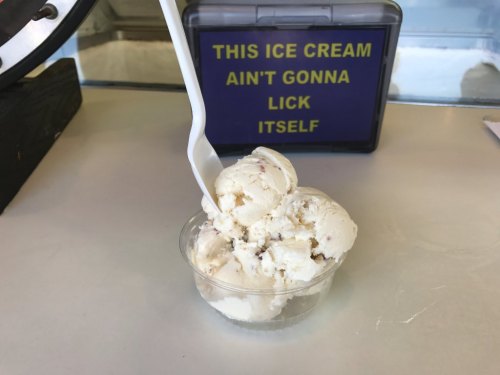 A cup of ice cream with a plastic spoon, next to a sign that reads, "This ice cream ain't gonna lick itself."
