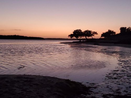 A serene sunset over a calm water body, with silhouettes of trees along the shore and a soft gradient in the sky.