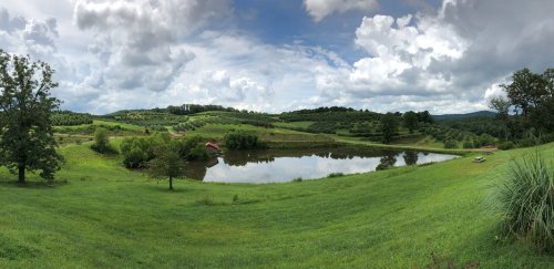 A panoramic view of a lush green landscape with a pond, trees, and rolling hills under a cloudy sky.