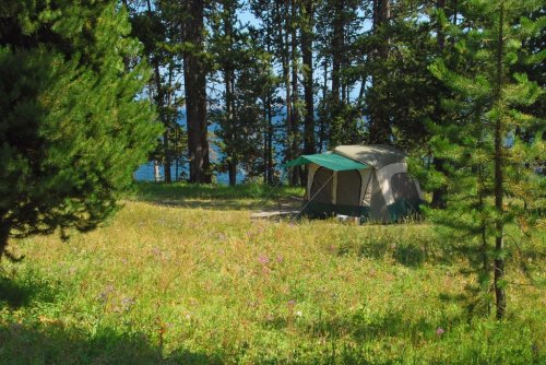 A tent set up in a grassy area surrounded by tall trees and wildflowers, near a lake in a sunny forest.