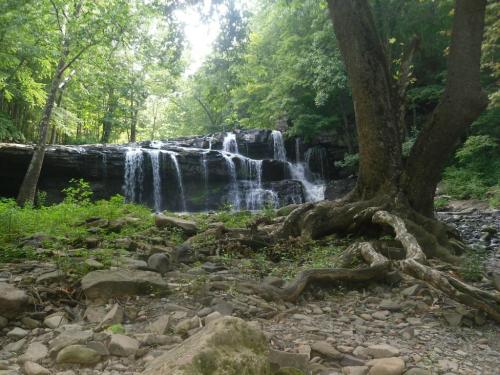 A serene waterfall cascades over rocks, surrounded by lush green trees and a rocky riverbank.