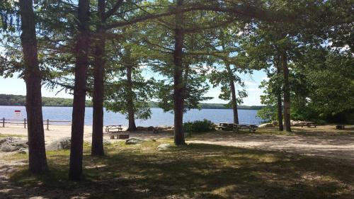 A serene lakeside scene with trees, picnic tables, and a calm water view under a clear blue sky.