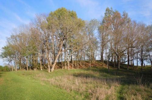 A grassy area with a hill covered in trees, under a clear blue sky.