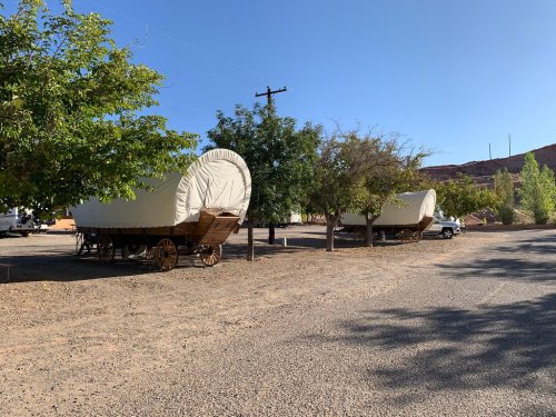 Two covered wagons parked under trees in a gravel area, with a clear blue sky in the background.