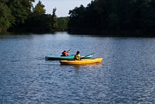 Two people kayak on a calm lake surrounded by trees, one in a yellow kayak and the other in a blue kayak.